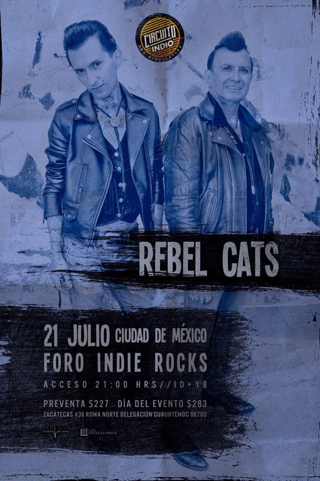 rebel cats